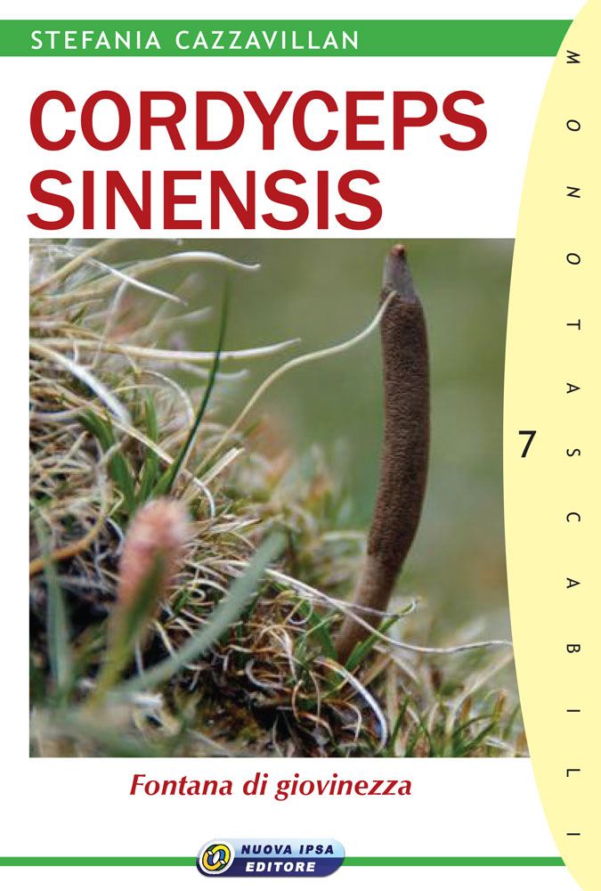 copertina del libro Cordyceps sinensis di Stefania Cazzavillan