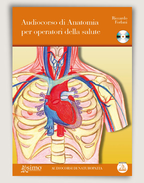 copertina del libro Audiocorso di Anatomia per operatori della salute di Riccardo Forlani