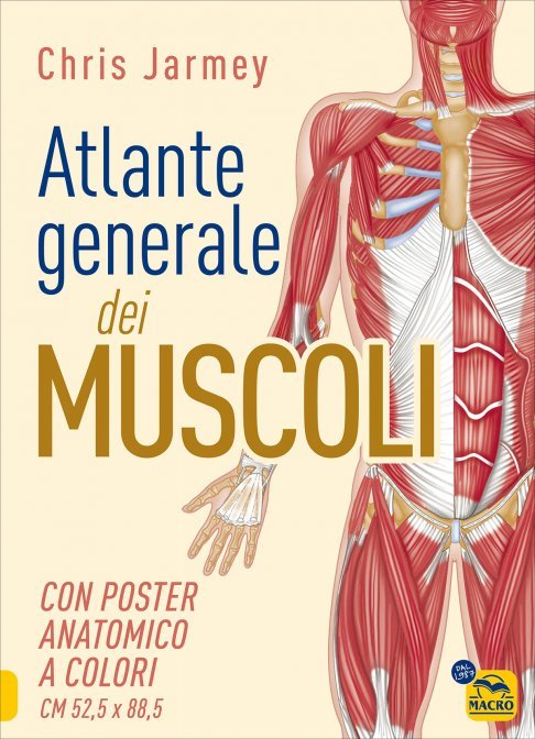 Atlante Generale dei Muscoli di /immagini/libri/atlante-generale-muscoli-chris-jarmey-libro.jpg