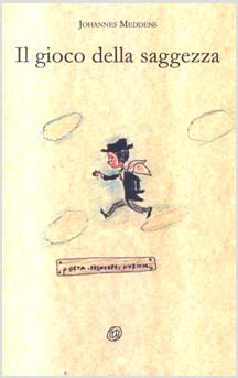 copertina del libro Il gioco della saggezza di Johannes Meddens