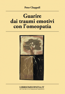 copertina del libro Guarire dai traumi emotivi con l