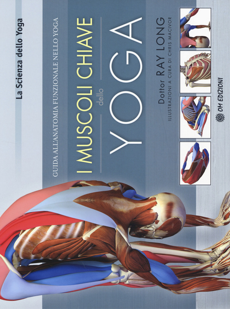 I muscoli chiave dello yoga. Guida all'anatomia funzionale nello yoga di Long Ray di /immagini/libri/muscoli-chiave-dello-yoga.jpg