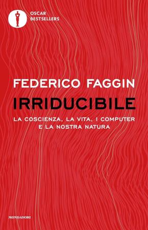 copertina del libro IRRIDUCIBILE / FAGGIN FEDER di Federico Faggin