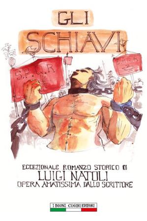 copertina del libro Gli schiavi di Luigi Natoli