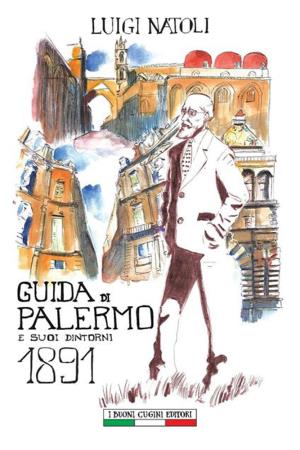 copertina del libro Guida di Palermo e suoi dintorni 1891 di Luigi Natoli