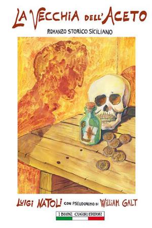 copertina del libro La vecchia dell