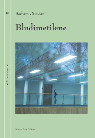 copertina del libro Bludimetilene di Barbara Ottaviani