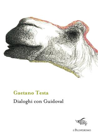 copertina del libro Dialoghi con Guidoval  di Gaetano Testa