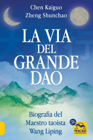 copertina del libro La via del grande Dao di Chen Kaiguo