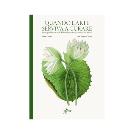copertina del libro Quando l’arte serviva a curare di Autori Vari