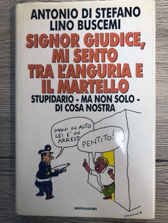 copertina del libro Signor giudice, mi sento tra l