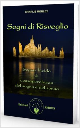 copertina del libro Sogni di risveglio : sogno lucido [e] consapevolezza del sogno e del sonno / Charlie Morley / traduzione di Silvia Toniato e Delbert Skeete di Charlie Morley