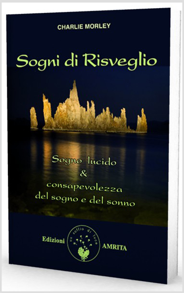 Sogni di risveglio : sogno lucido [e] consapevolezza del sogno e del sonno / Charlie Morley / traduzione di Silvia Toniato e Delbert Skeete di Charlie Morley