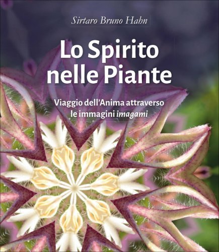 Spirito nelle Piante di /immagini/libri/spirito-nelle-piante-hahn-libro.jpg