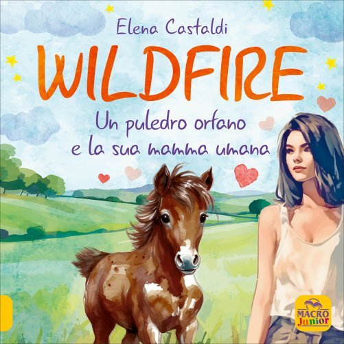 Wildfire di /immagini/libri/wildfire-elena-castaldi-libro.jpg